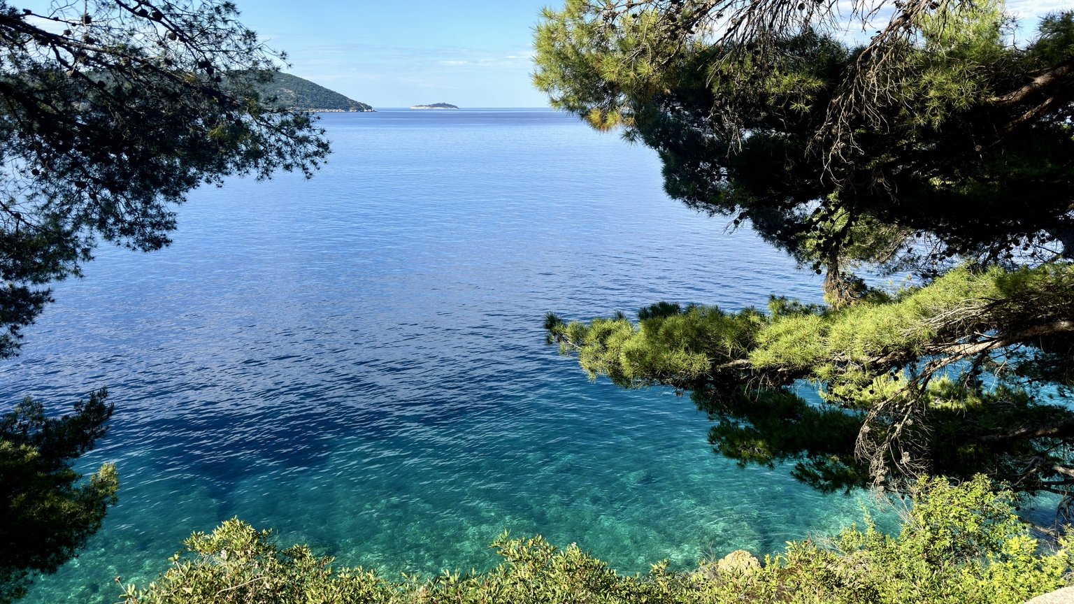 Clear turquoise Adriatic water framed by pine trees