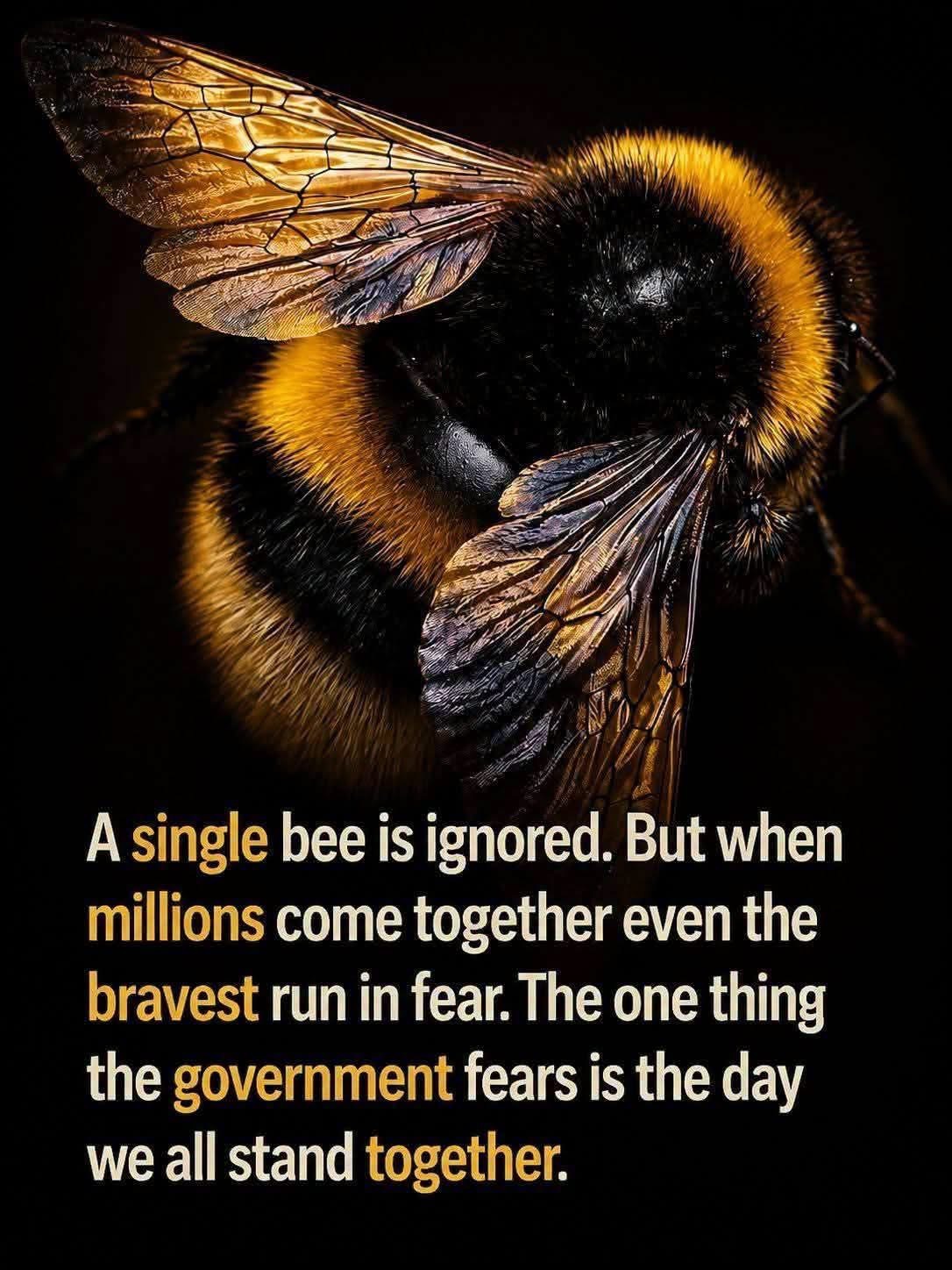 Close-up bumblebee with a message about the strength of standing together